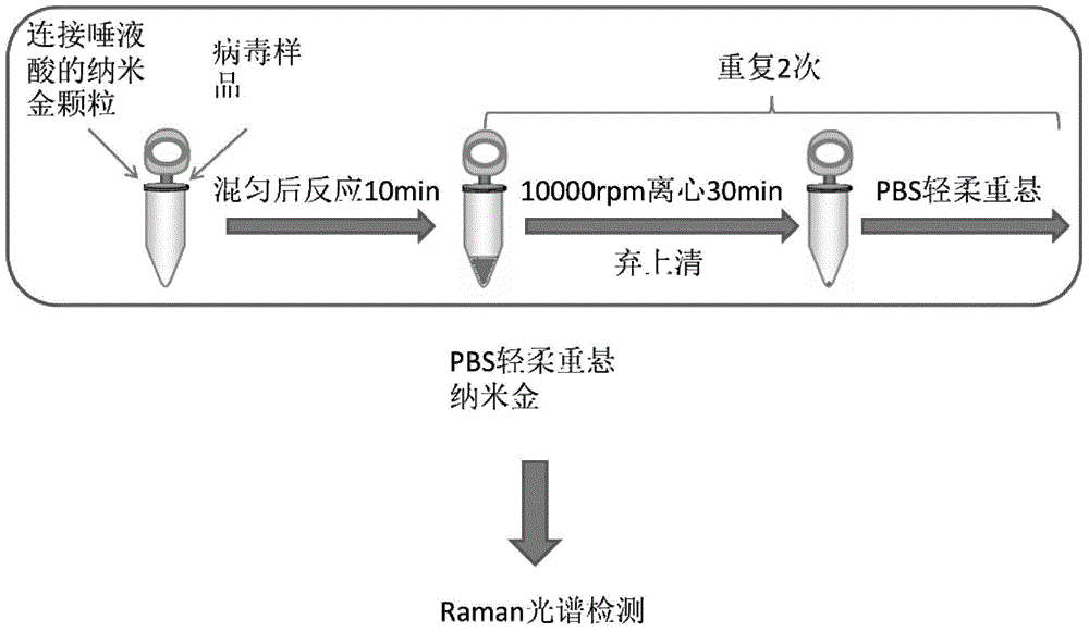 Surface enhanced Raman spectra substrate for detecting avian influenza virus, and application thereof