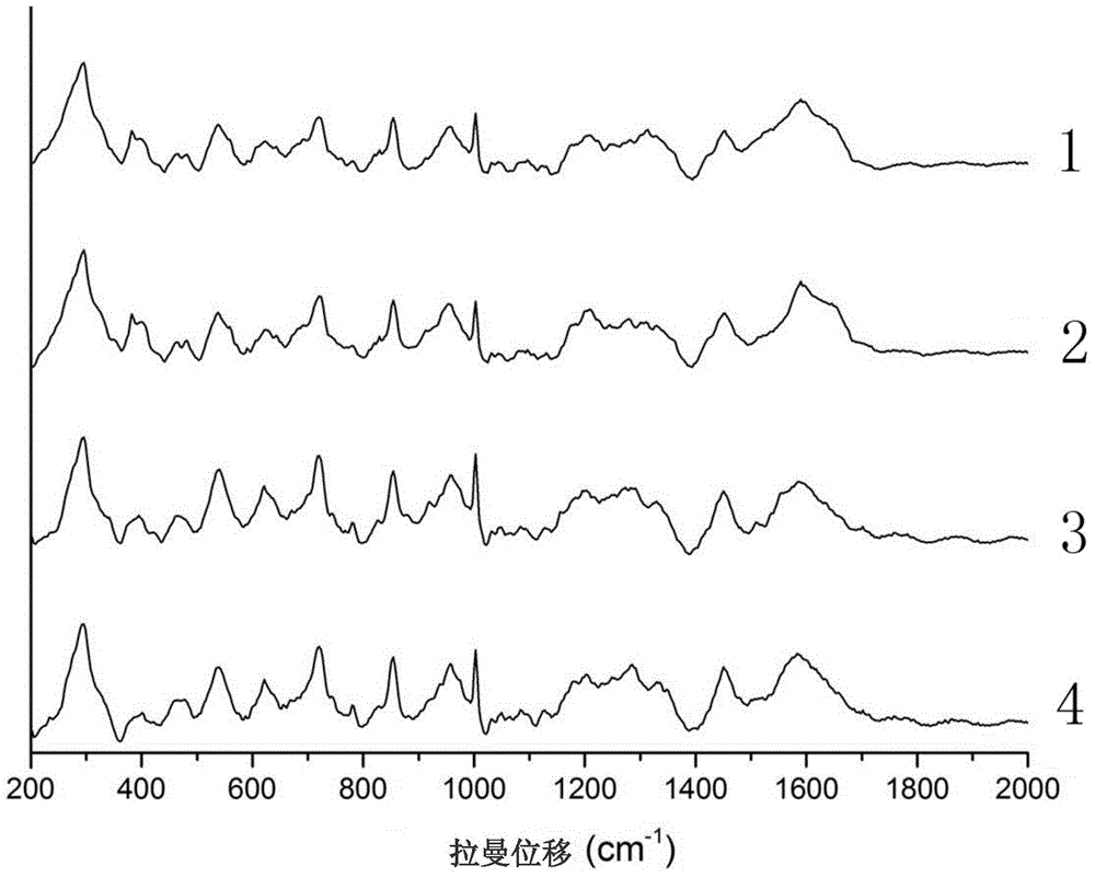 Surface enhanced Raman spectra substrate for detecting avian influenza virus, and application thereof