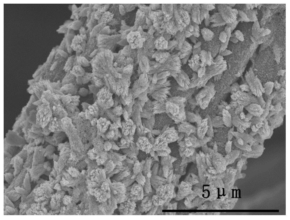 Preparation method and application of a carbon cloth in-situ structure double oxide self-supporting battery electrode material