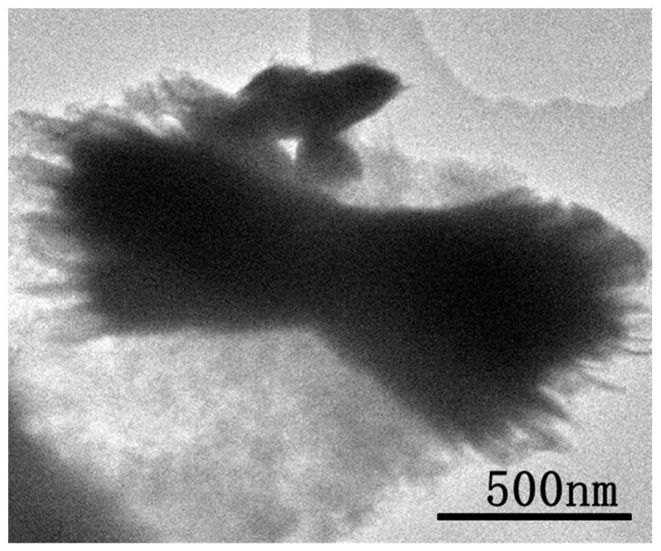 Preparation method and application of a carbon cloth in-situ structure double oxide self-supporting battery electrode material