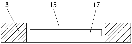 Divergent nut conveying device and use method thereof