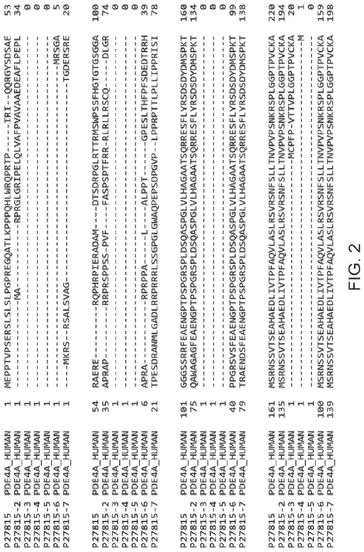 Methods of Treating Epilepsy via Phosphodiesterase 4 (PDE4) Inhibition