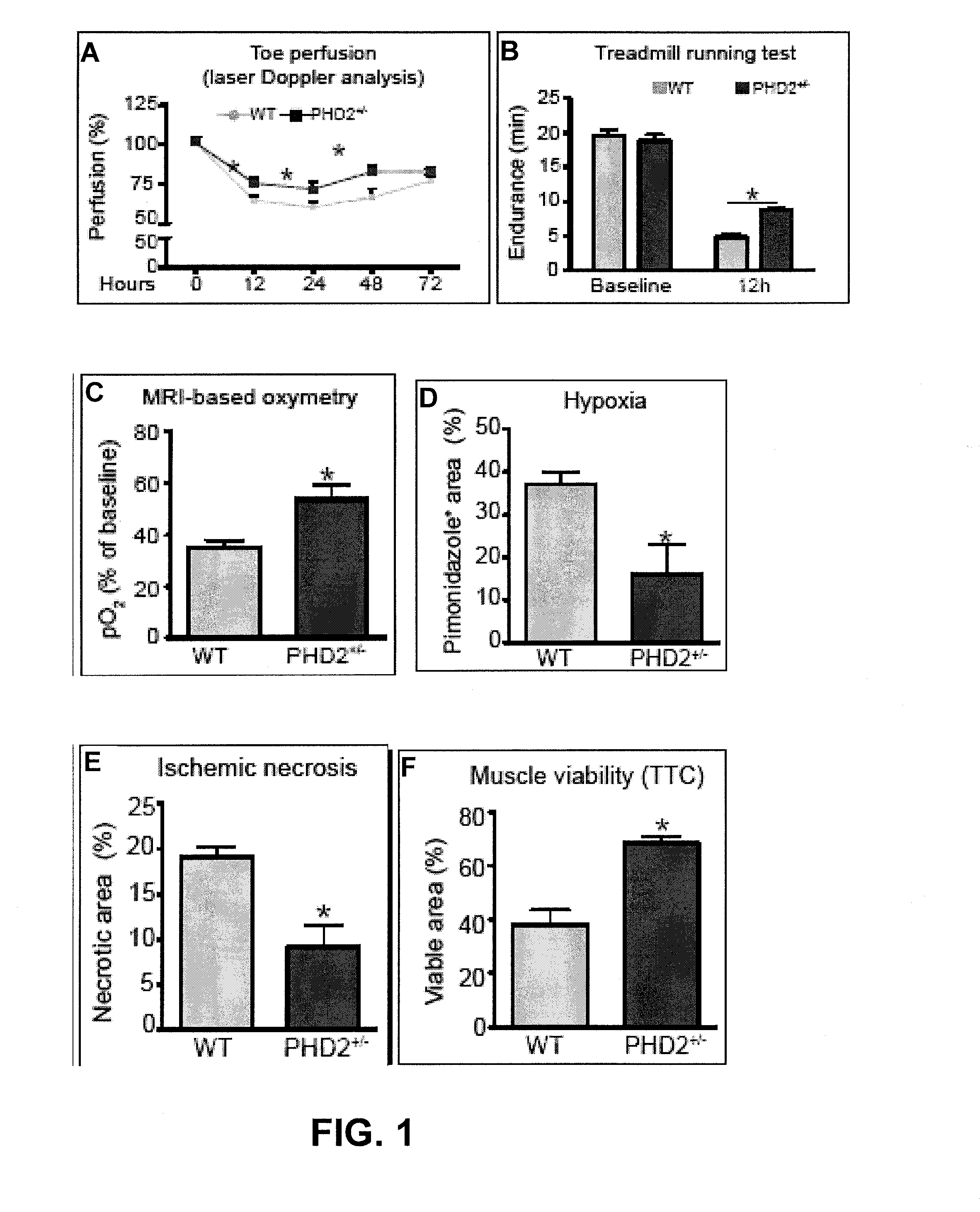 Induction/monitoring of arteriogenesis using sdf1 and pdgfb or inhibition of phd2