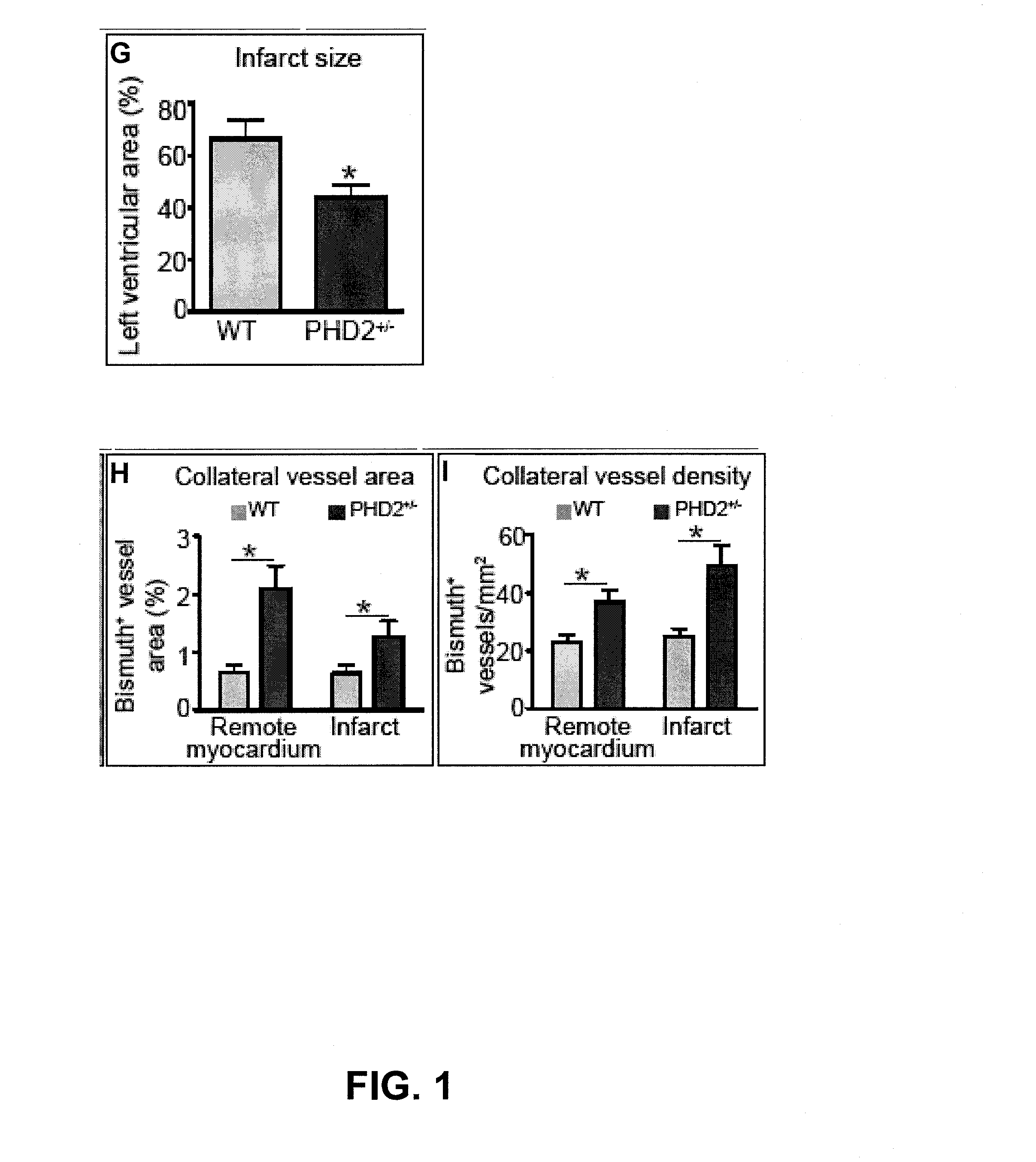 Induction/monitoring of arteriogenesis using sdf1 and pdgfb or inhibition of phd2