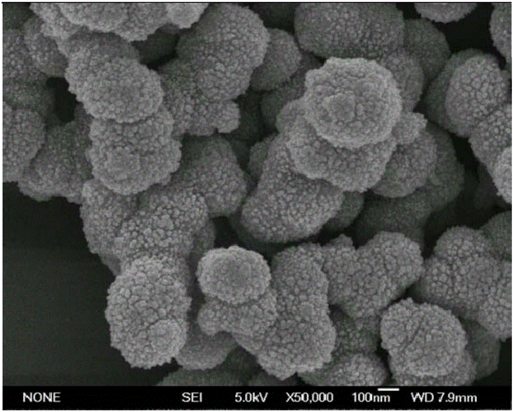 Titanium dioxide nanometer catalyst and preparation and application thereof