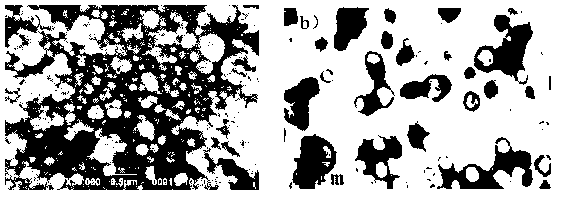 Enteric-coated capsule containing cationic nanoparticles for oral insulin delivery