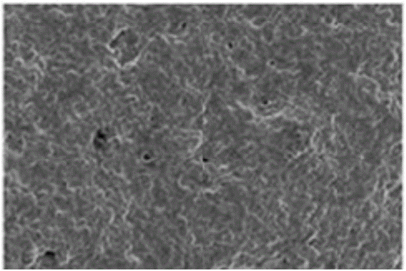 Novel application of recombinant hCREG glycoprotein and application thereof on coronary stent