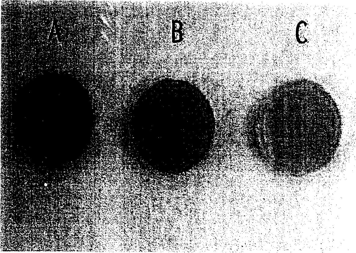 A composition for cartilage therapeutics and using method thereof