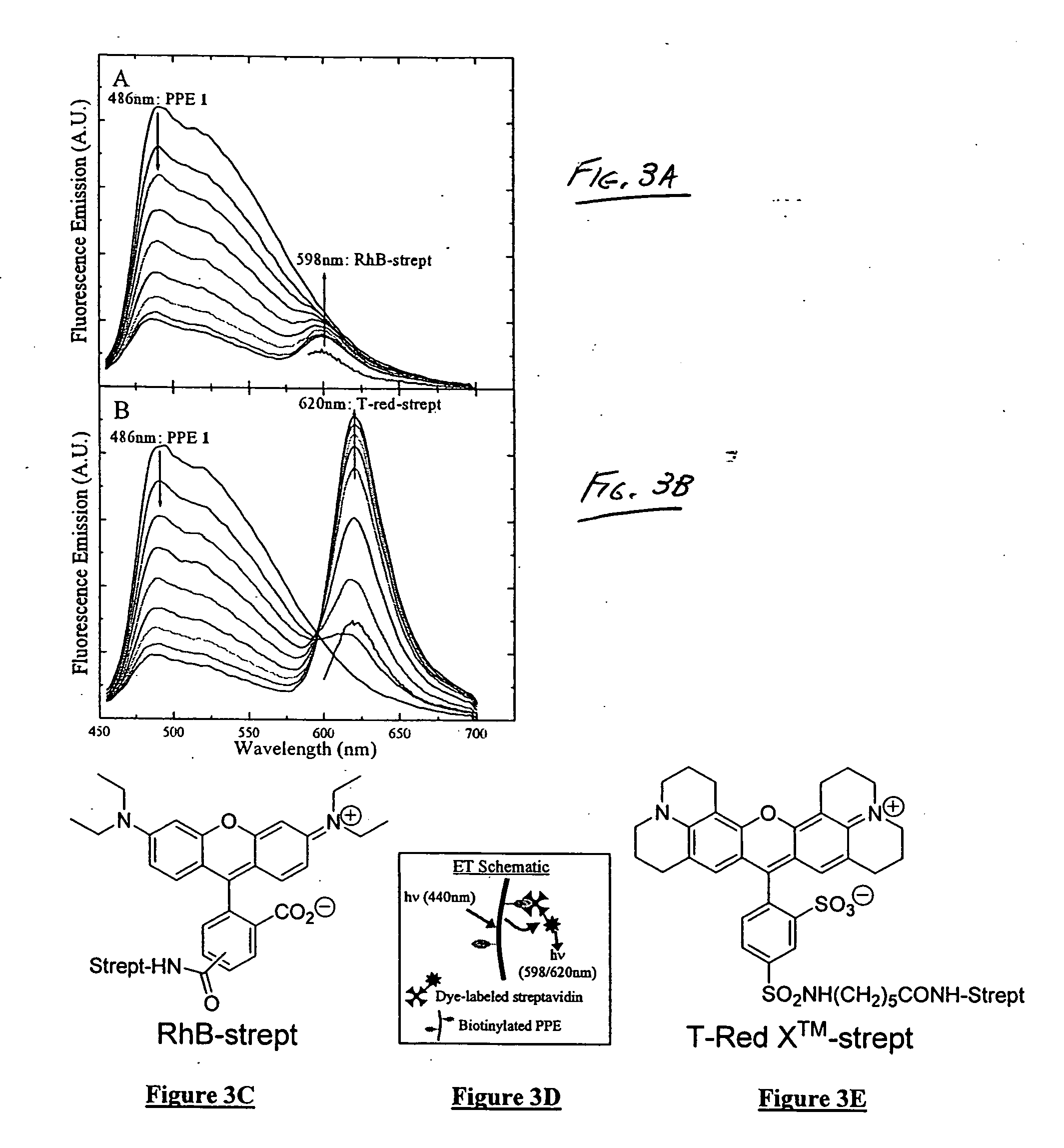 Polymers for analyte detection