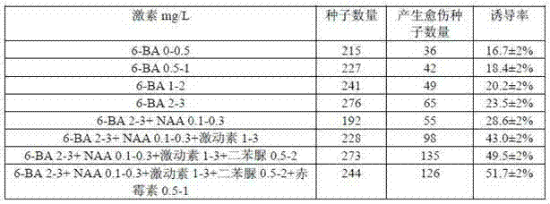 Medlar sterile seedling and method for obtaining induced healing of medlar sterile seedling