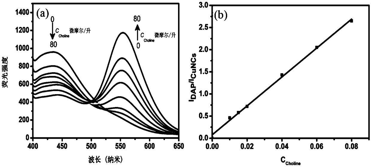 Method for detecting choline by using ratio fluorescent probe based on copper nano-cluster compound