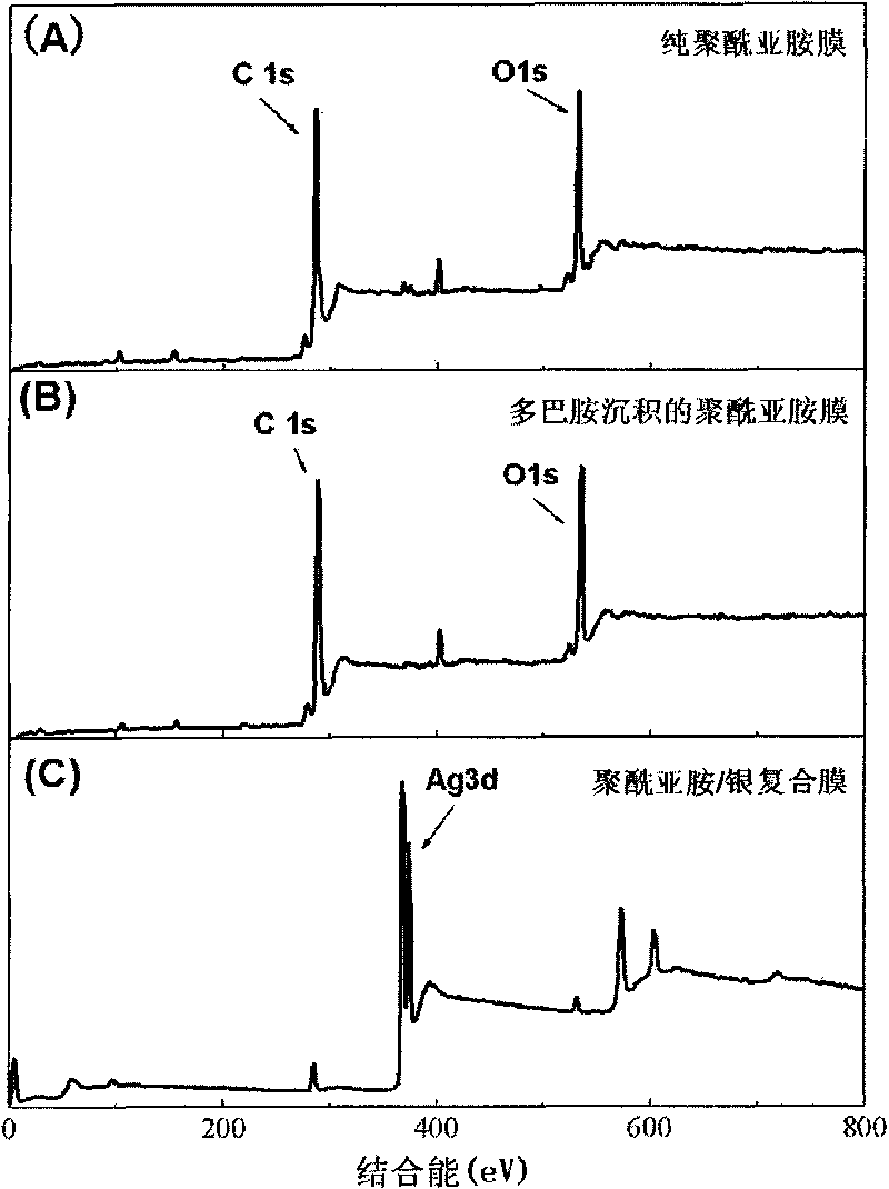 Method for preparing polymer/silver composite membrane by depositing dopamine