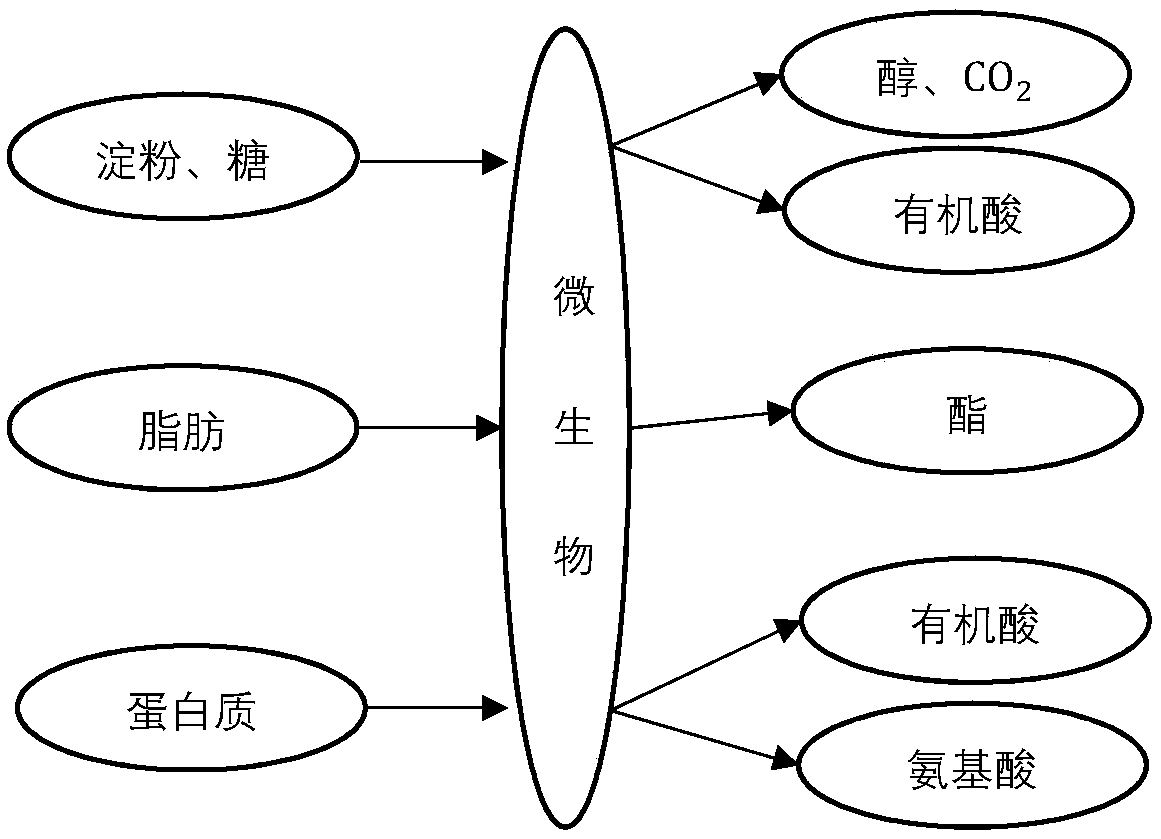 Yellow rice wine sterilization microorganism content curve generating method