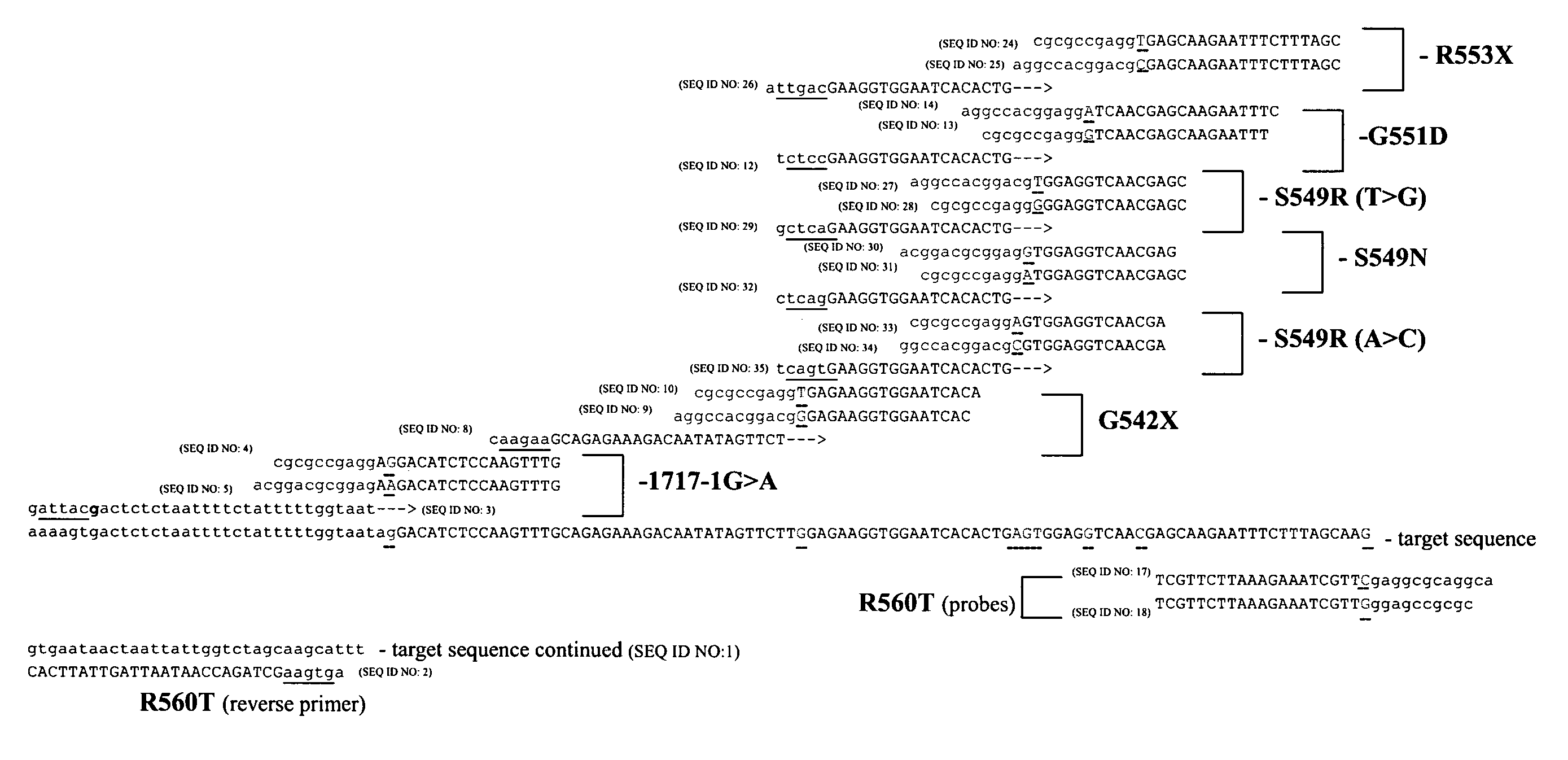 Snap-Back Primers And Detectable Hairpin Structures