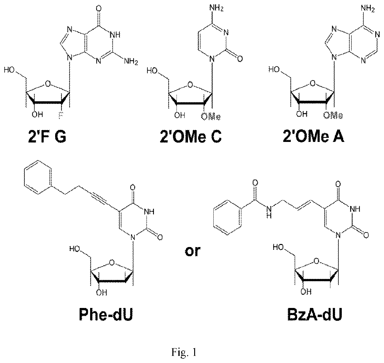 Chemically modified RNA aptamers and uses thereof