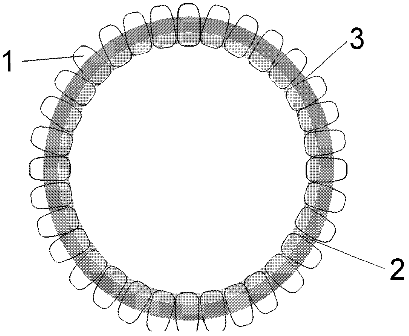 Virus-like particles for pseudorabies virus and preparation method for same