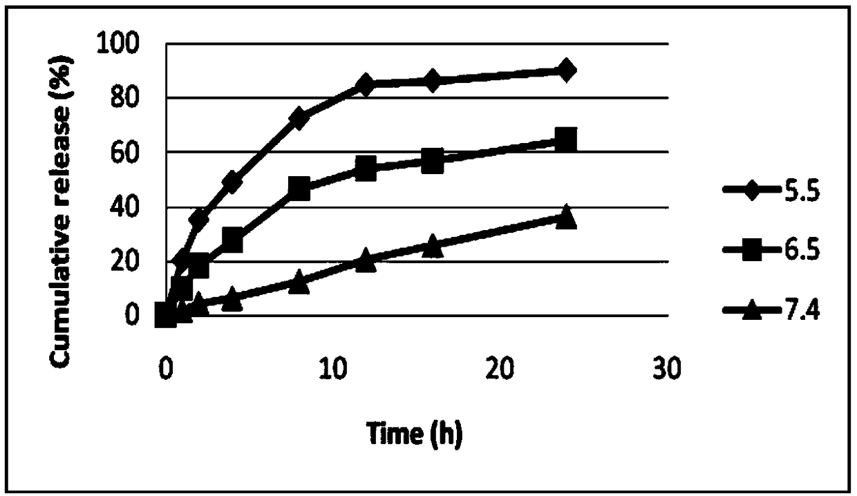 A kind of spio traced pH-sensitive drug-loaded liposome and preparation method thereof