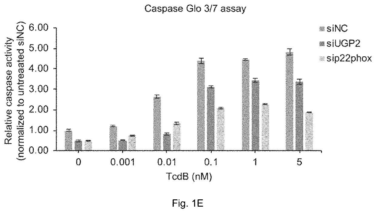 Method of treating <i>Clostridium difficile </i>infection or its associated symptoms