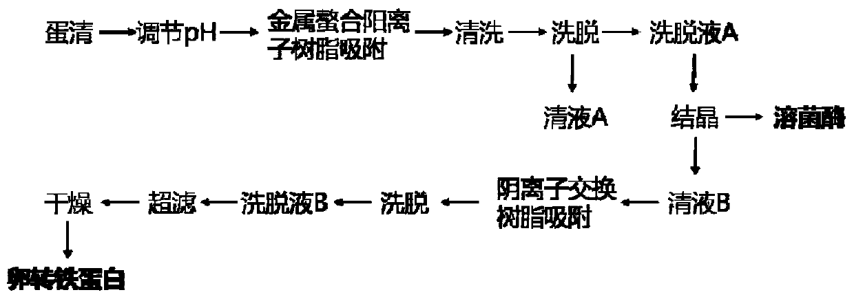 Joint separation method for lysozyme and ovotransferrin in egg white