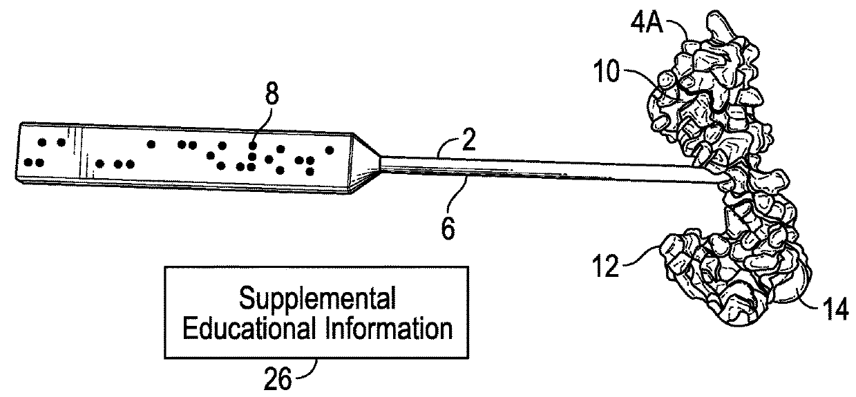 Oral-based method and system for educating visually impaired students