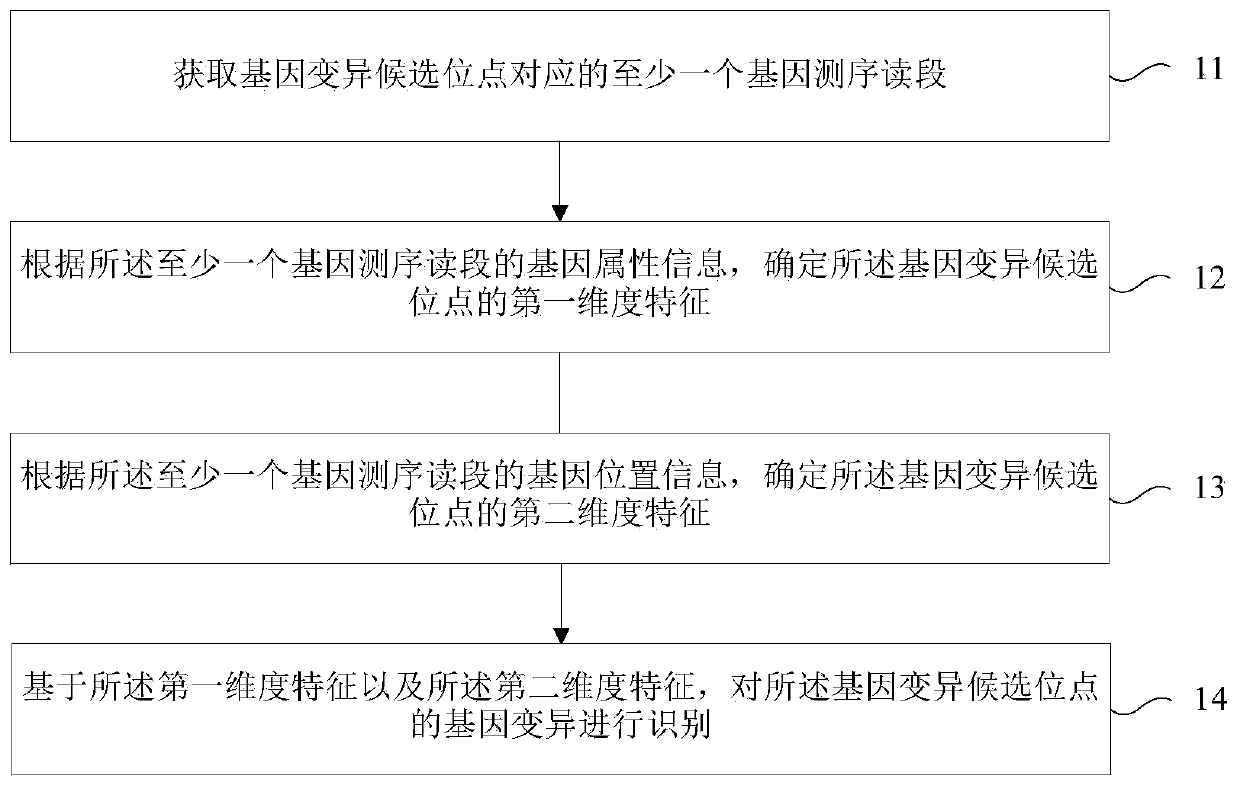 Gene variation identifying method, device and storage medium