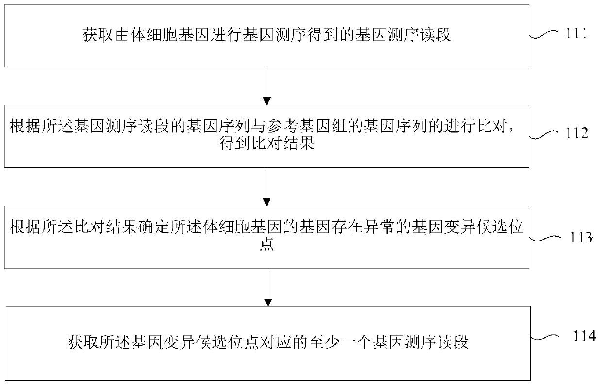 Gene variation identifying method, device and storage medium