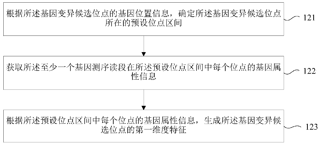 Gene variation identifying method, device and storage medium