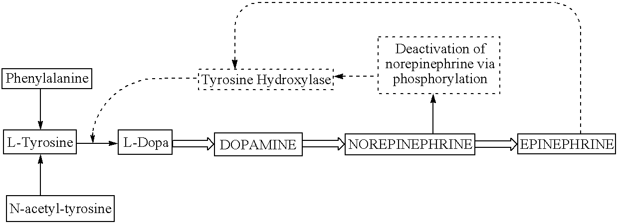 Adminstration of dopa precursors with sources of dopa to effectuate optimal catecholamine neurotransmitter outcomes