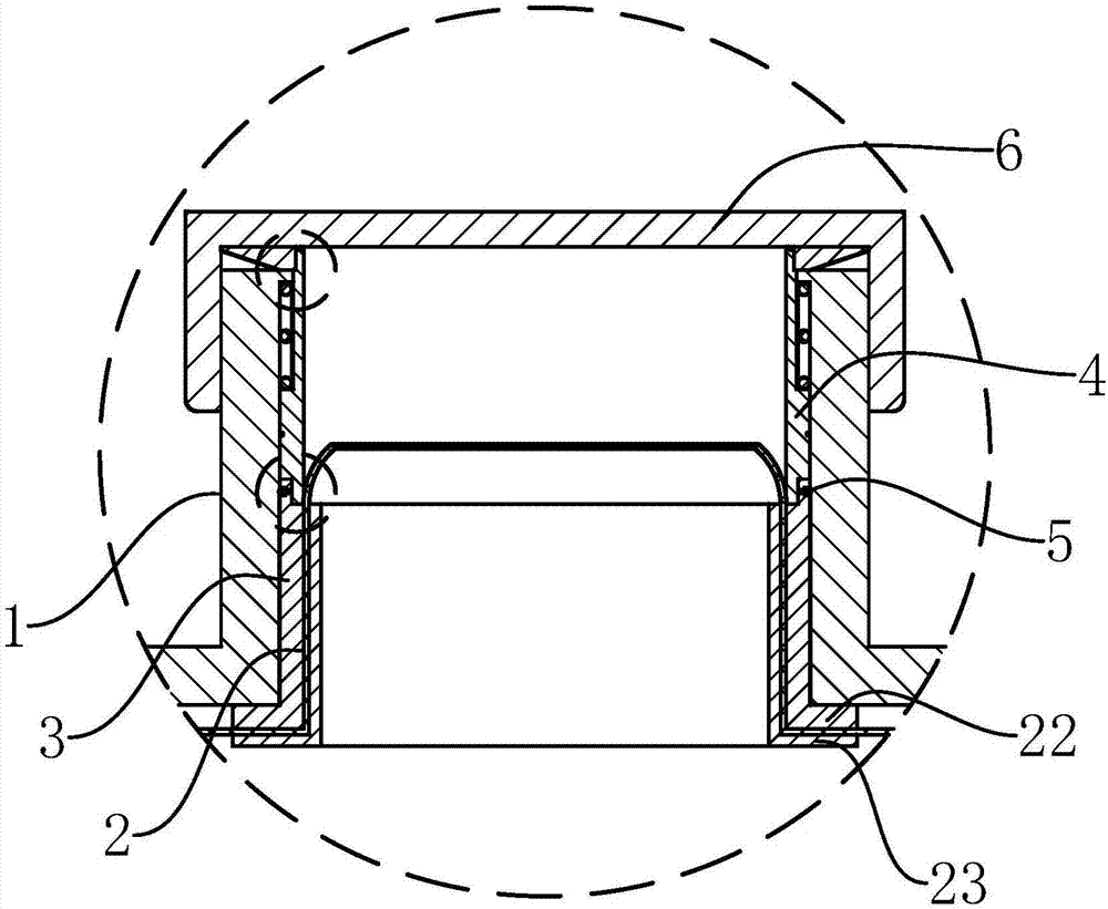 Quick liquid bag disassembling and assembling structure and disassembling and assembling method