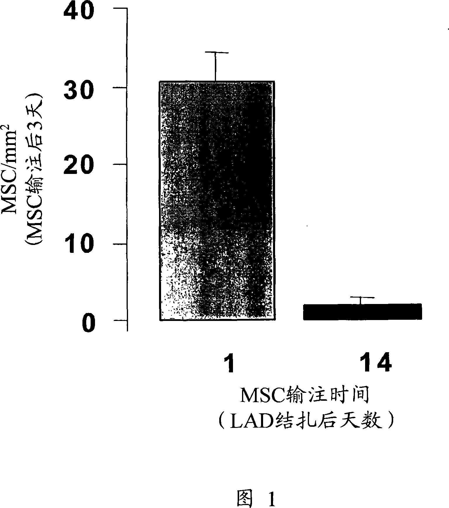 CCR ligands for stem cell homing