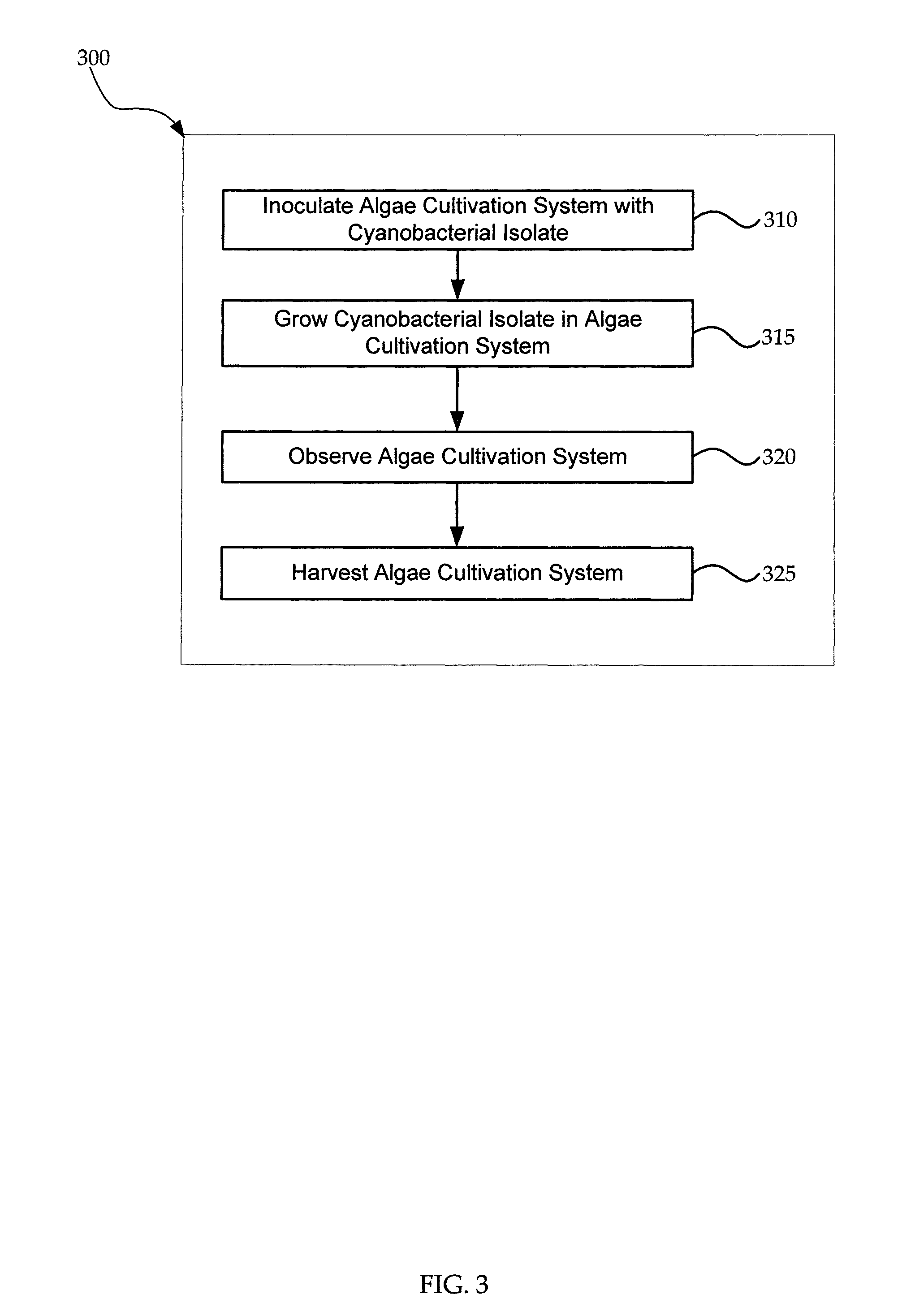 Cyanobacterial isolates having auto-flocculation and settling properties