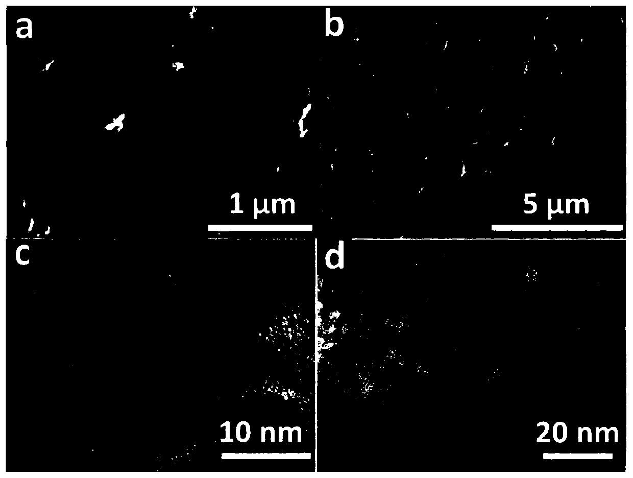 Method for preparing nitrogen-doped carbon nano array-ferronickel hydrotalcite oxygen evolution electrode