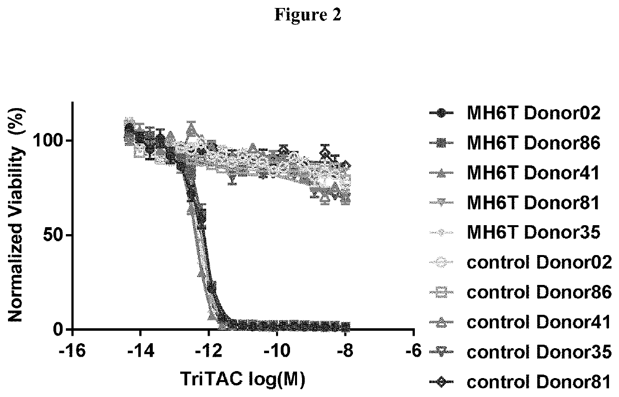 Mesothelin binding proteins