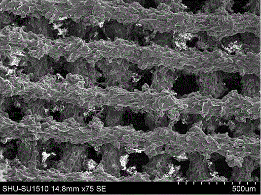 Micro-nano composite dual-layer skin framework and manufacturing method thereof