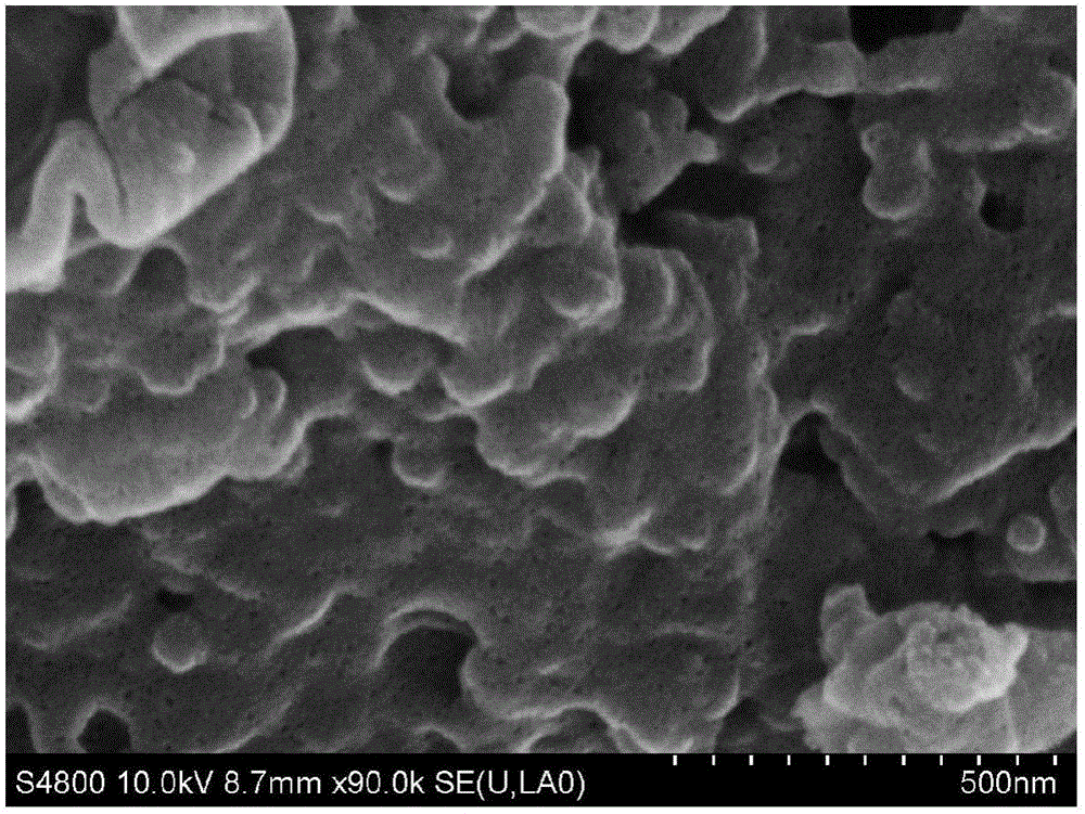 Preparation method of biomass-based nitrogenous porous carbon, porous carbon prepared by method and use thereof