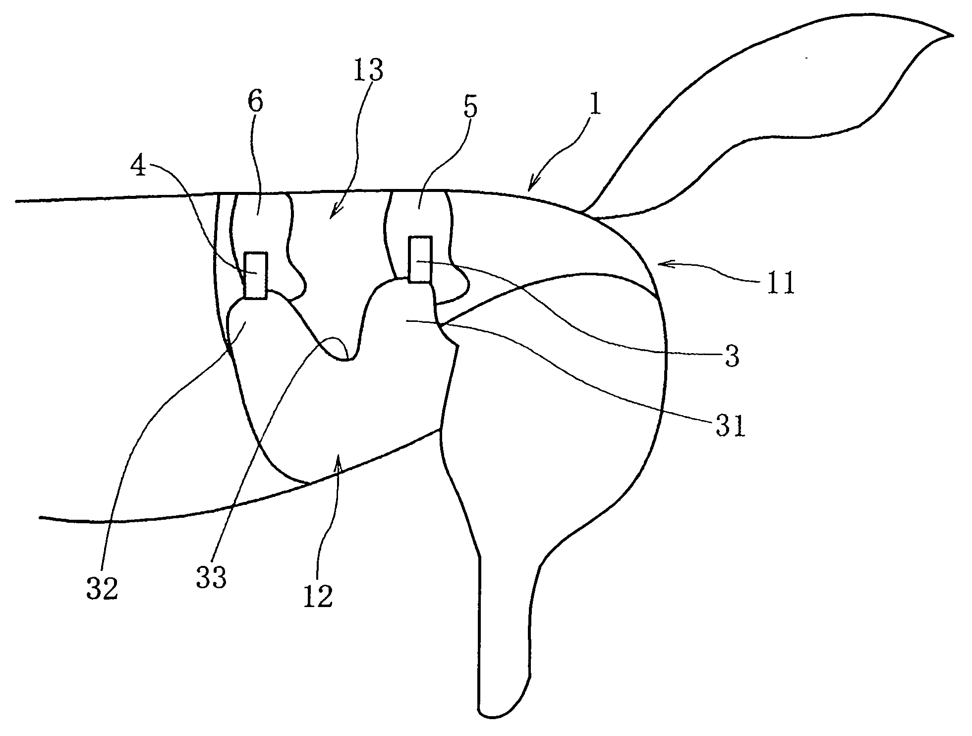 Absorbent article for animal