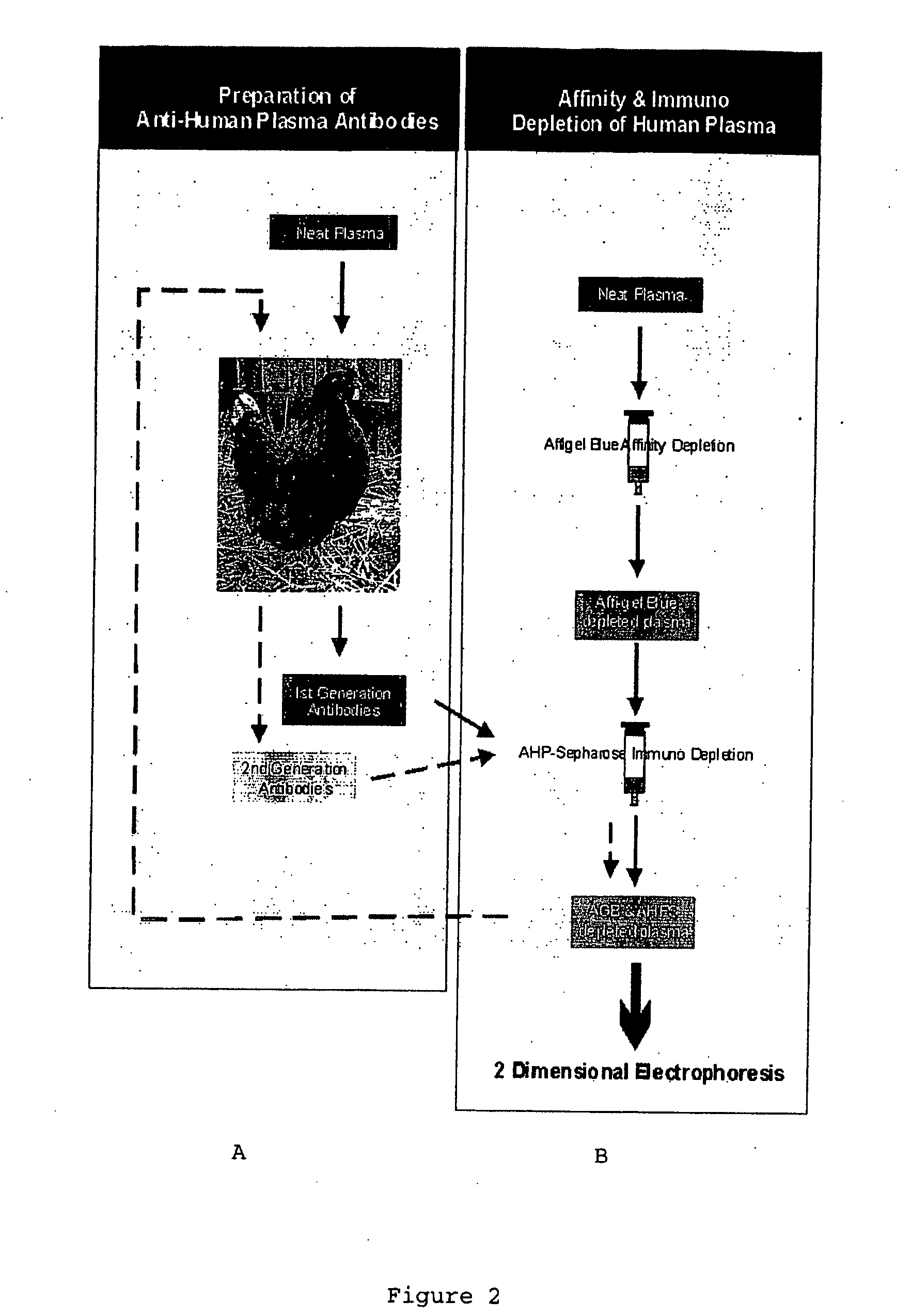 Depletion of plasma proteins