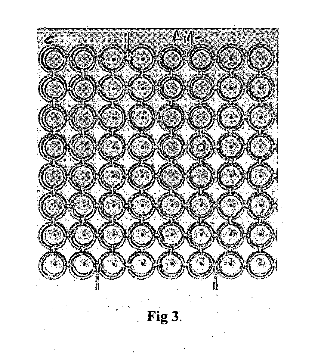 Allium fistulosum leaf agglutinin recombinant protein, its encoding polynucleotide, primer and process for preparation thereof