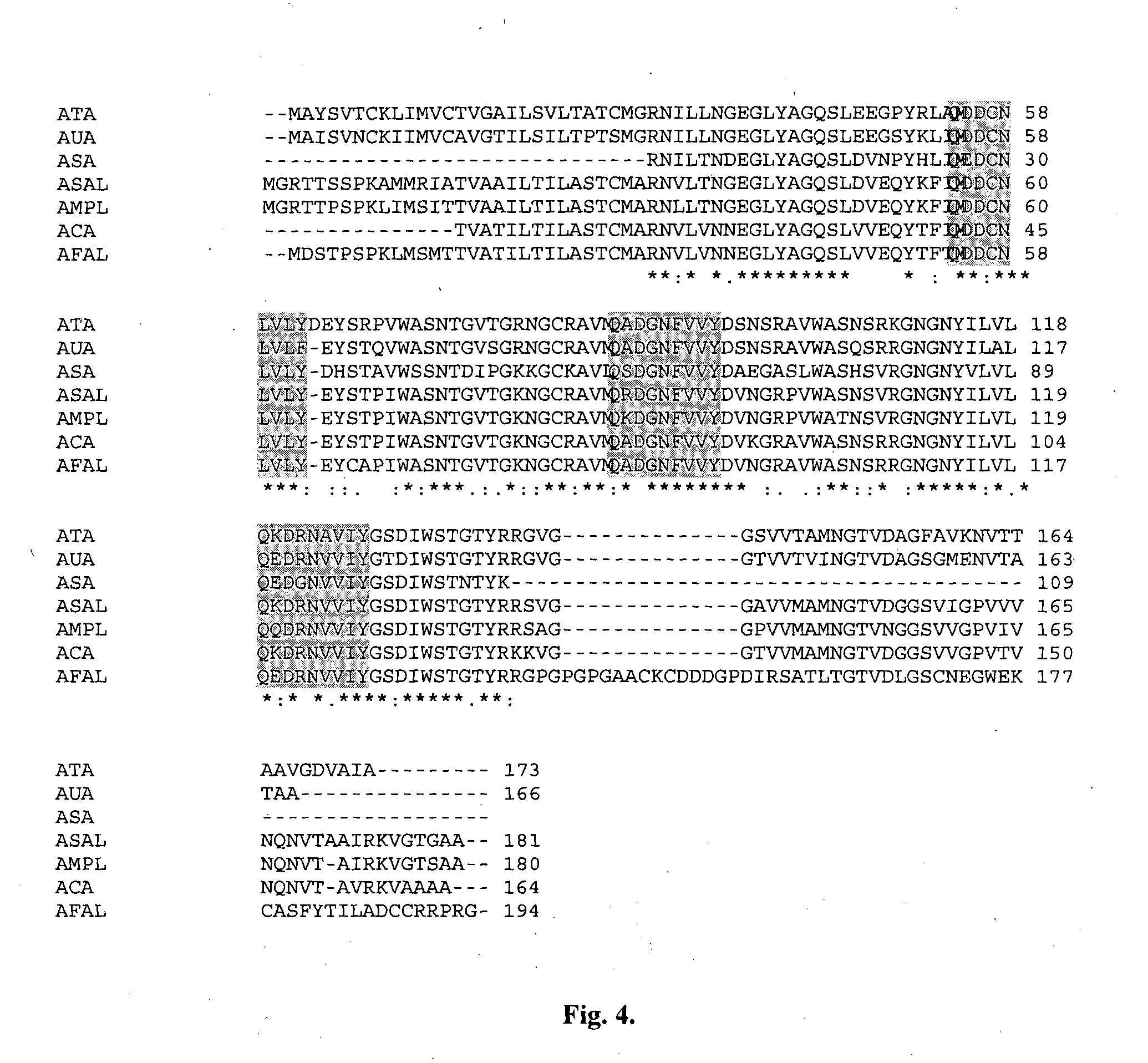 Allium fistulosum leaf agglutinin recombinant protein, its encoding polynucleotide, primer and process for preparation thereof