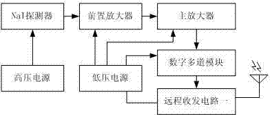 Nuclide recognition device in high-level radioactive environment