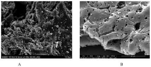 Preparation method of novel metal-biochar-based hydrogenation catalyst and application thereof