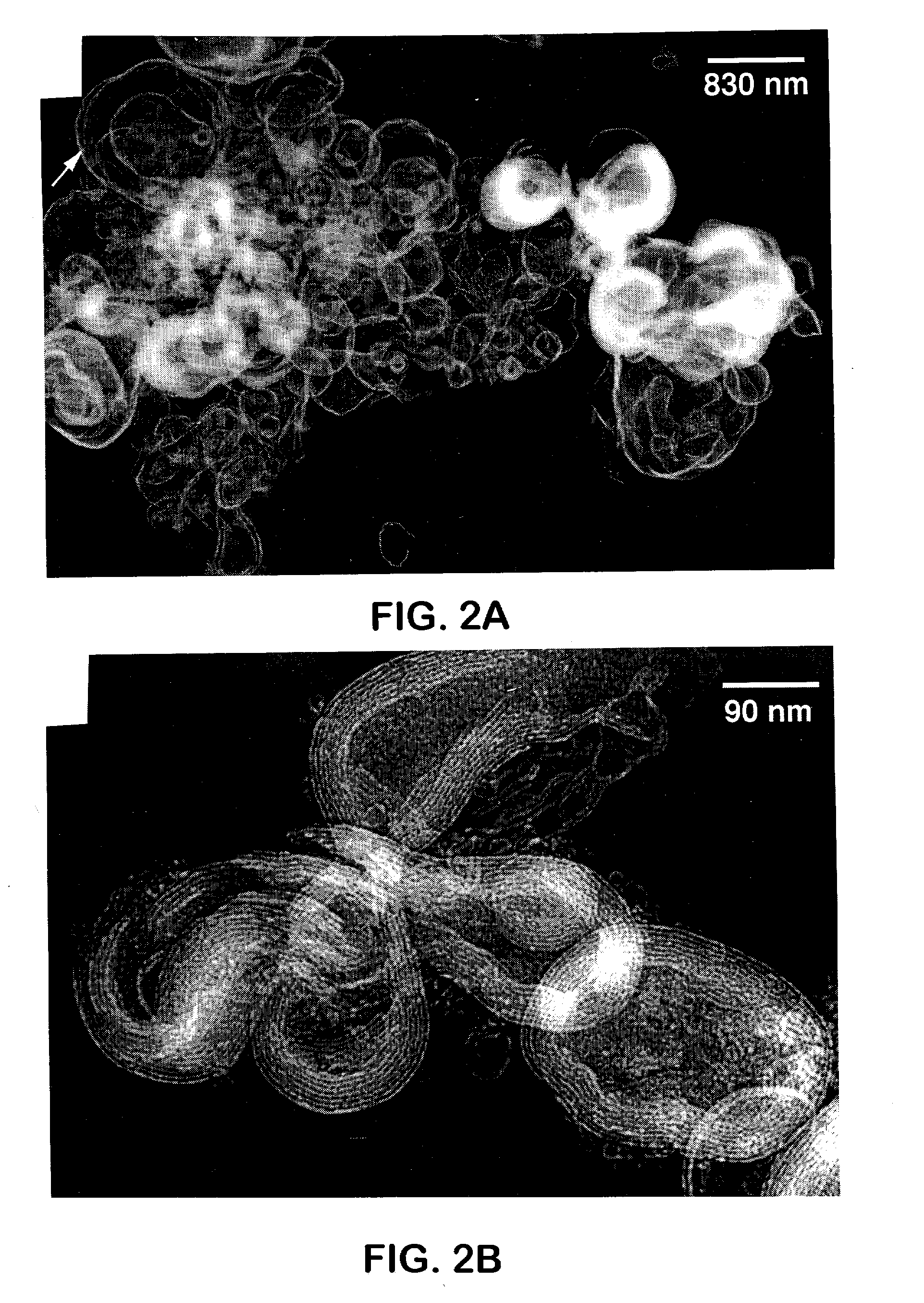 Ultra-stable lamellar mesoporous silica compositions and process for the preparation thereof