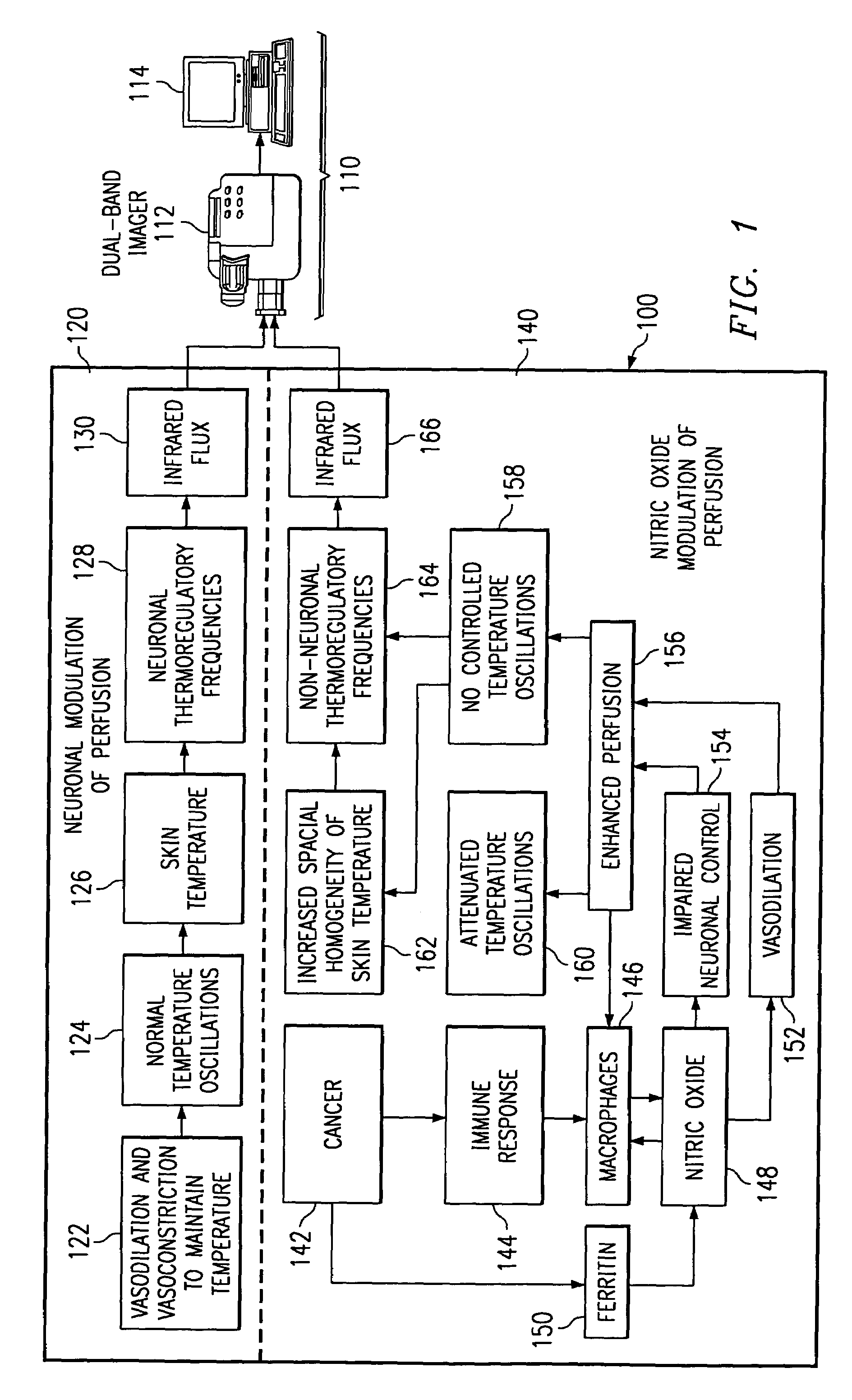 Method of and apparatus for detecting diseased tissue by sensing two bands of infrared radiation