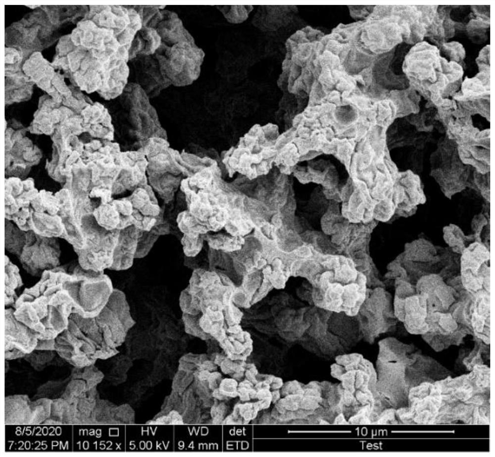 Lipid raft@organic-inorganic hybrid monolithic column as well as preparation method and application thereof