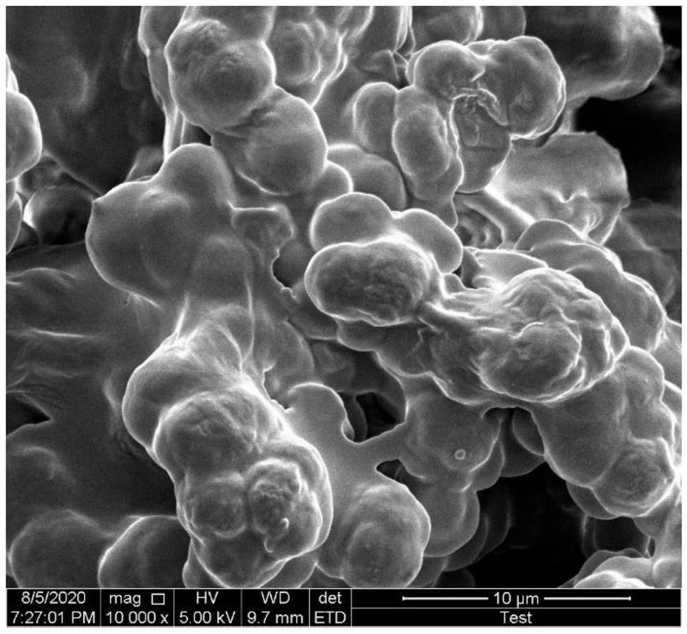 Lipid raft@organic-inorganic hybrid monolithic column as well as preparation method and application thereof