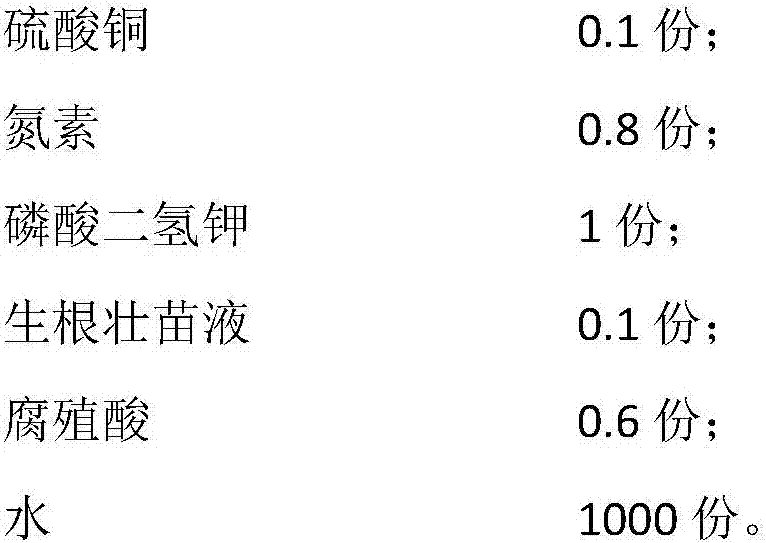 Hybrid mulberry seedling floating breeding one-step mulberry field establishment method and floating nutrient solution composition