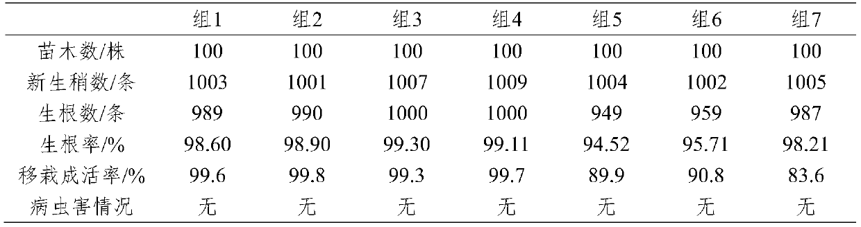 Compound root-induction solution for layering seedling-raising of agate red cherries, and application thereof