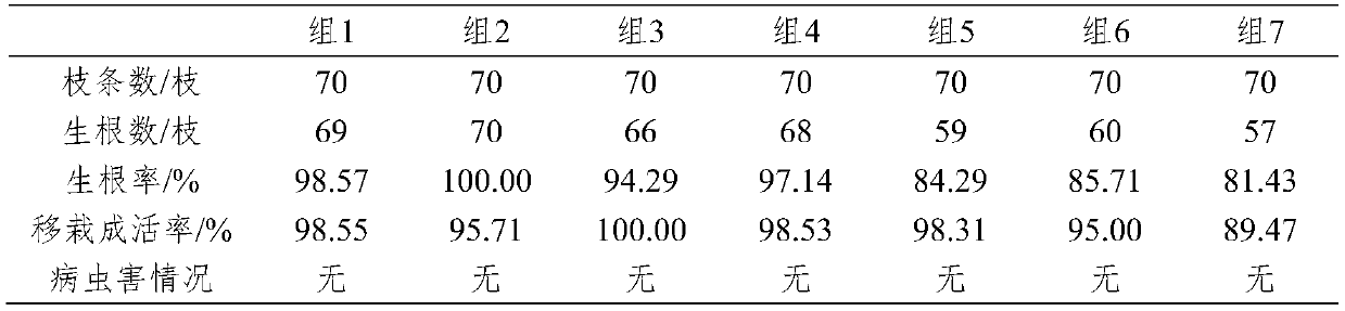 Compound root-induction solution for layering seedling-raising of agate red cherries, and application thereof