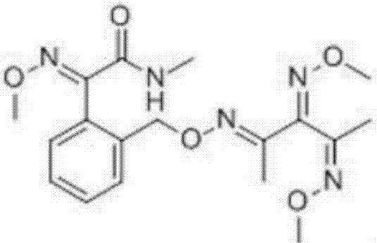 Sterilization composition with isopyrazam and orysastrobin and application of sterilization composition