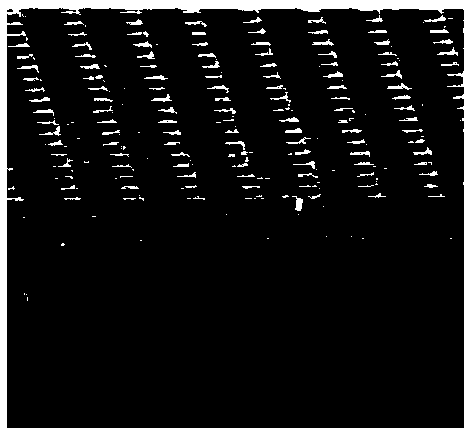 A Reflective X-ray Source Structure of Patterned Carbon Nanotube Cathode